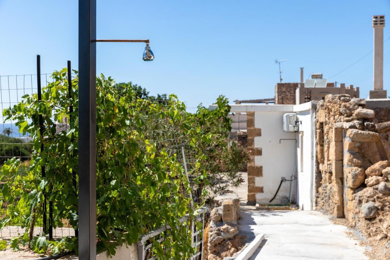 Thea Studio Agios Pandeleimon  Exterior photo